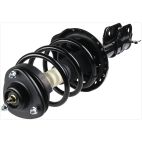 Suspension Strut Assembly
