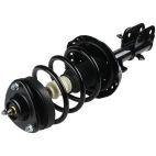 Suspension Strut Assembly