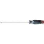 SCREWDRIVER