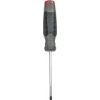 SCREWDRIVER