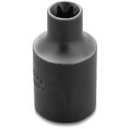 Socket