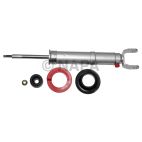 Suspension Strut