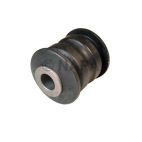 Alignment Camber Bushing