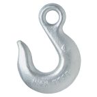 Chain Hooks / Eyes G43 Eye Slip Hook