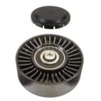 Accessory Drive Belt Idler Pulley