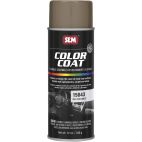 COLOR COAT