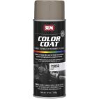 COLOR COAT