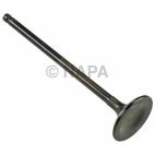 Engine Exhaust Valve