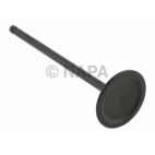 Engine Intake Valve