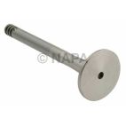Engine Exhaust Valve