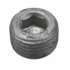 Engine Expansion Plug Kit