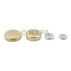 Engine Expansion Plug Kit