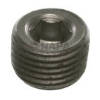 Engine Expansion Plug Kit