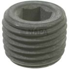 Engine Expansion Plug Kit