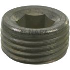 Engine Expansion Plug Kit