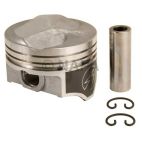 Engine Piston Kit
