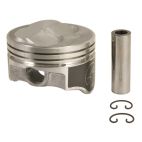 Piston Set - Cast
