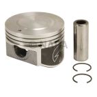 Engine Piston Set