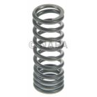 Engine Valve Spring