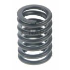 Engine Valve Spring