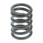 Engine Valve Spring