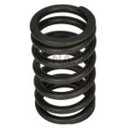 Engine Valve Spring