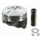 Piston Set - Cast