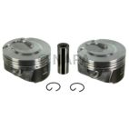 Engine Piston Kit