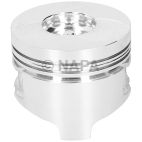Engine Piston Kit