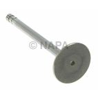 Engine Exhaust Valve