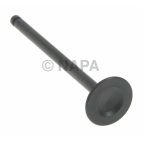 Engine Exhaust Valve