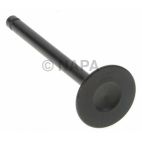 Engine Exhaust Valve