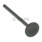 Engine Exhaust Valve