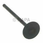 Engine Exhaust Valve