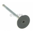 Engine Exhaust Valve