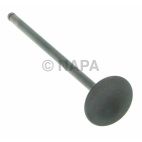 Engine Intake Valve