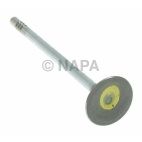 Engine Exhaust Valve
