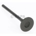 Engine Exhaust Valve