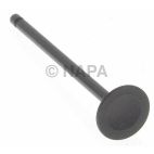 Engine Exhaust Valve