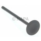 Engine Intake Valve