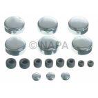 Engine Expansion Plug Kit