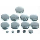 Engine Expansion Plug Kit