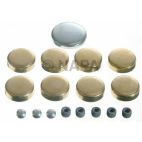 Engine Expansion Plug Kit