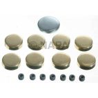 Engine Expansion Plug Kit