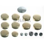 Engine Expansion Plug Kit