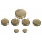 Engine Expansion Plug Kit