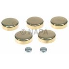 Engine Expansion Plug Kit