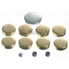 Engine Expansion Plug Kit