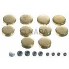 Engine Expansion Plug Kit