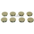 Engine Expansion Plug Kit